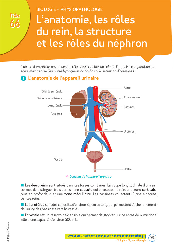 Le Volum' Bac pro - ASSP - Accompagnement, soins et services à la personne - Révision entraînement
