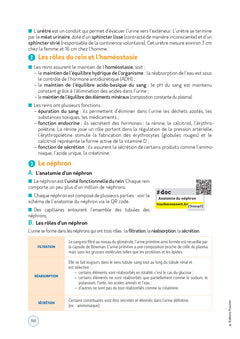 Le Volum' Bac pro - ASSP - Accompagnement, soins et services à la personne - Révision entraînement