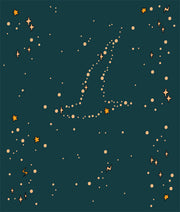 Mystères et sortilèges - Vive l'aventure !