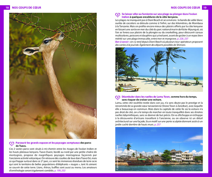 Guide du routard Kenya Tanzanie