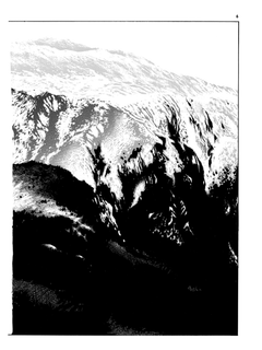 Fleurs de pierre, tome 3