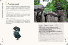 Apprenties sorcières : pouvoirs et rituels du chaman