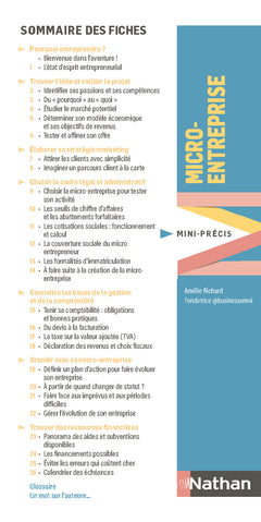 Micro-entreprise Mini-Précis
