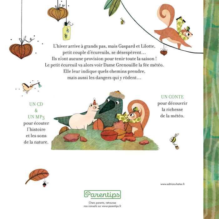 Petit écureuil cherche noisettes