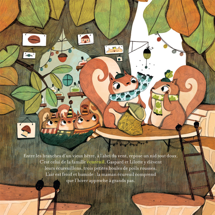 Petit écureuil cherche noisettes