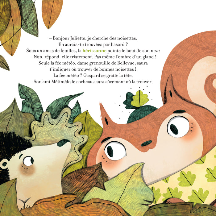 Petit écureuil cherche noisettes