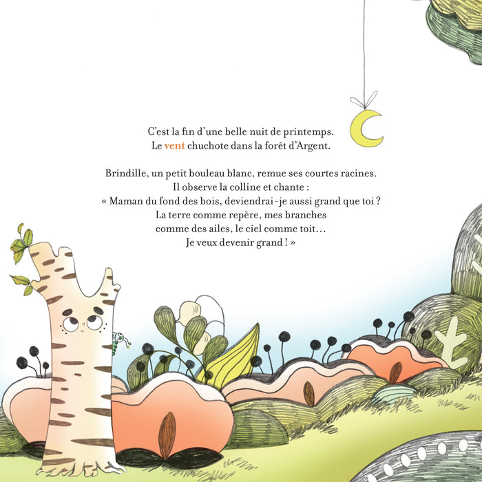 Contes de la nature - Les secrets de la forêt