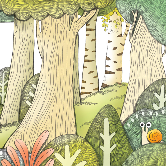 Contes de la nature - Les secrets de la forêt