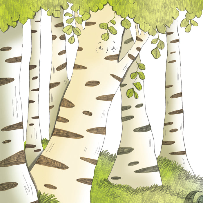 Contes de la nature - Les secrets de la forêt