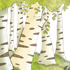 Contes de la nature - Les secrets de la forêt