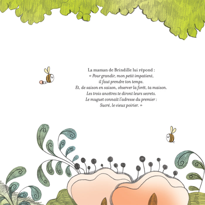 Contes de la nature - Les secrets de la forêt