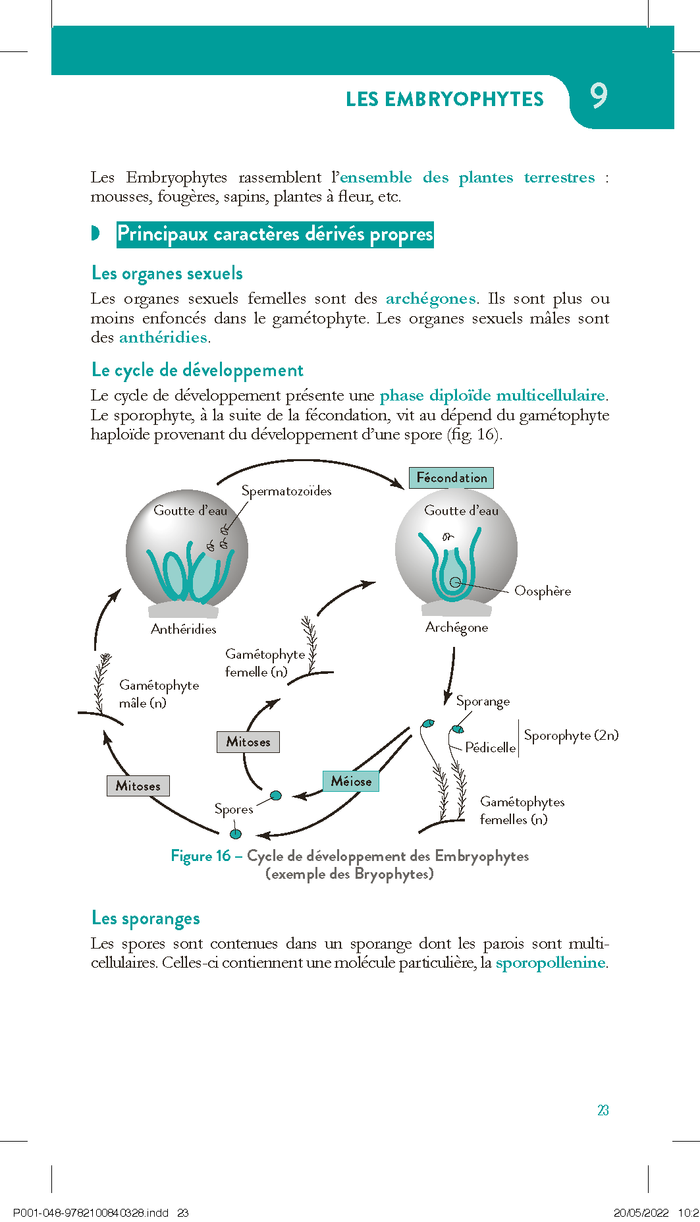 Evolution et diversité du vivant