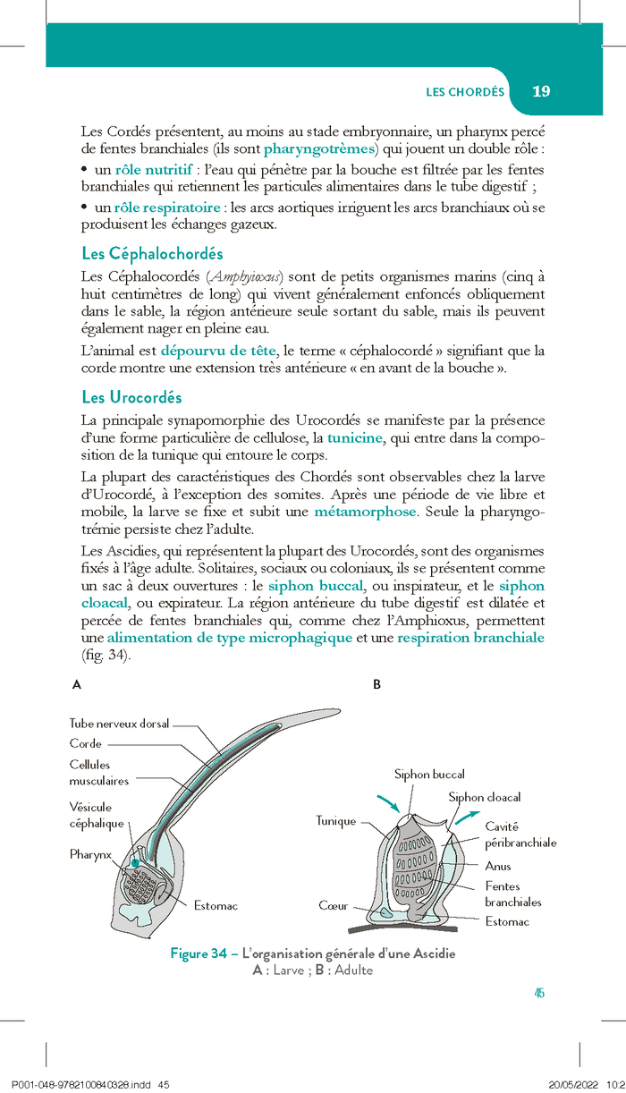 Evolution et diversité du vivant