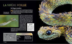 Bizarroïdes ! La vie secrète des animaux les plus étranges