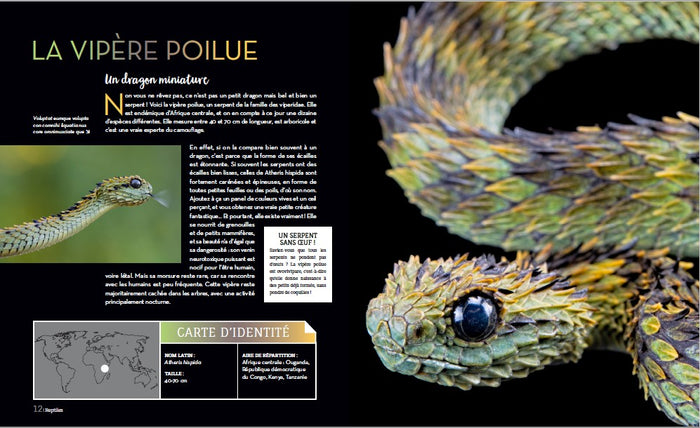 Bizarroïdes ! La vie secrète des animaux les plus étranges