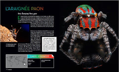 Bizarroïdes ! La vie secrète des animaux les plus étranges