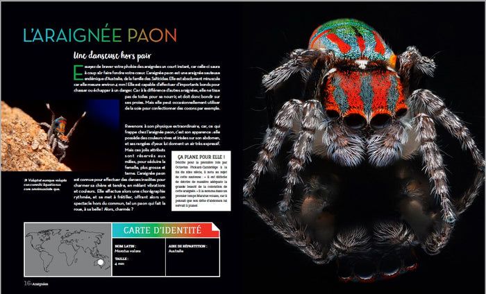 Bizarroïdes ! La vie secrète des animaux les plus étranges