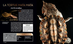 Bizarroïdes ! La vie secrète des animaux les plus étranges