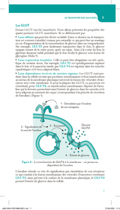 Le métabolisme cellulaire