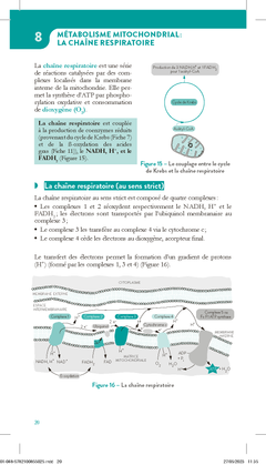 Le métabolisme cellulaire