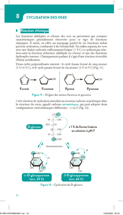 Les glucides
