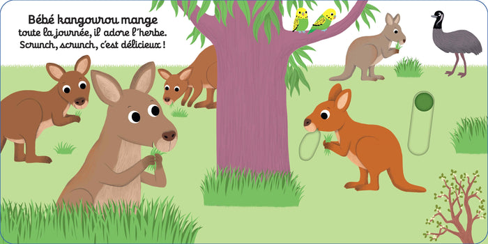 Coucou, petit kangourou !