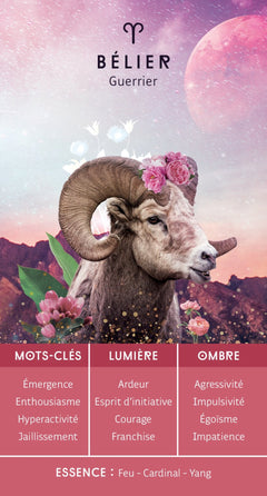 Décodez les secrets de votre thème astral