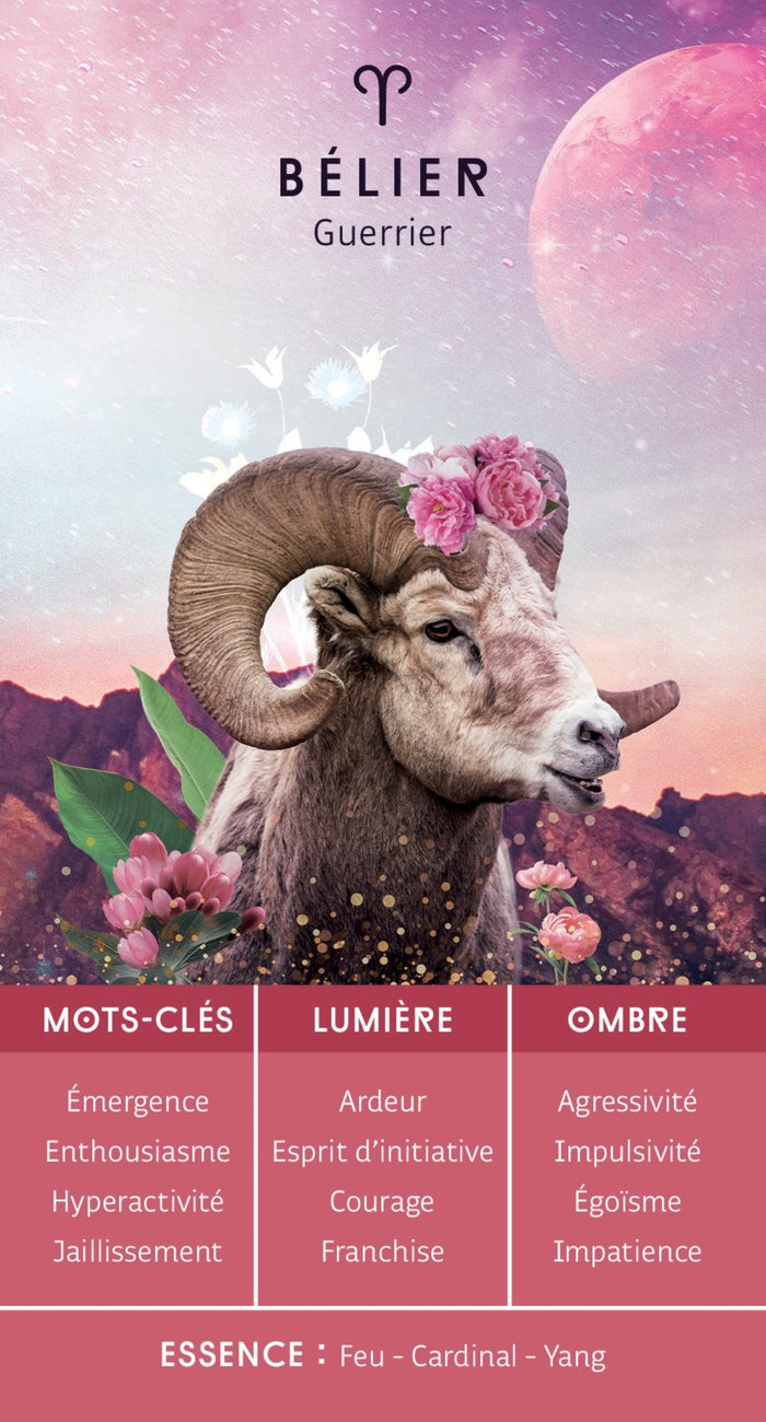 Décodez les secrets de votre thème astral