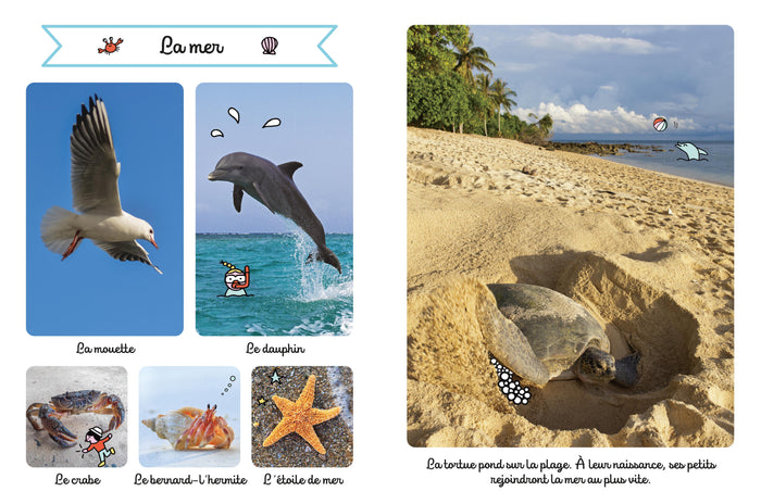 Le grand imagier sonore des animaux