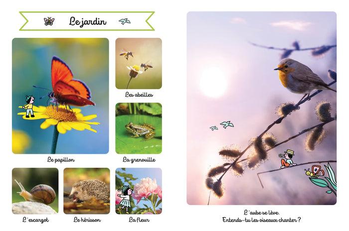 Le grand imagier sonore des animaux