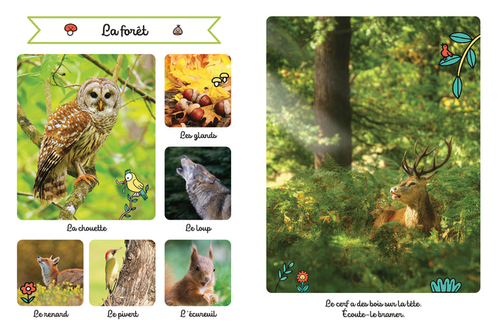 Le grand imagier sonore des animaux