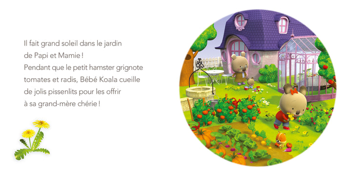Bébé Koala - Chez Papi et Mamie