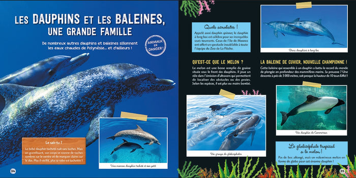 Le grand livre des créatures des océans