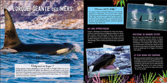 Le grand livre des créatures des océans