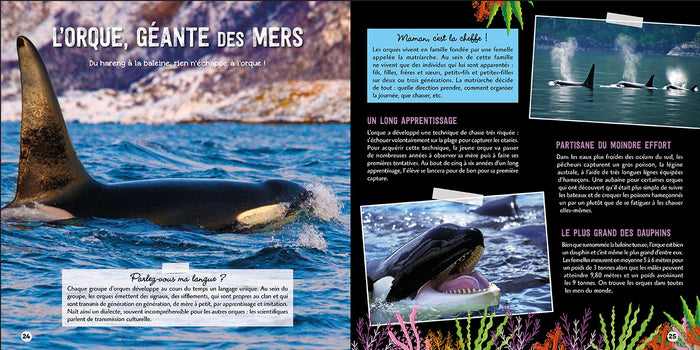 Le grand livre des créatures des océans