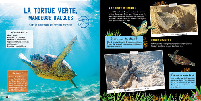 Le grand livre des créatures des océans