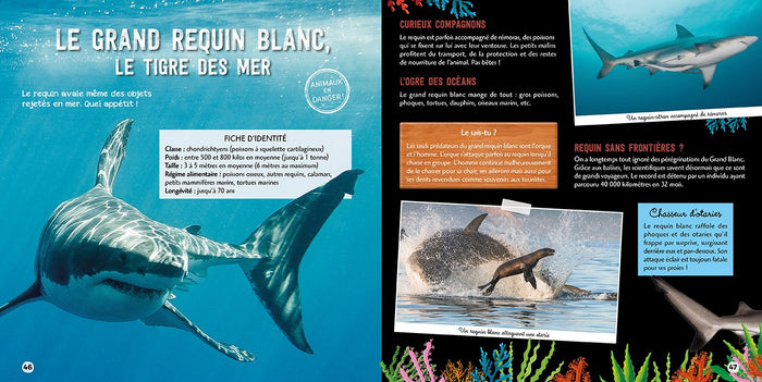 Le grand livre des créatures des océans