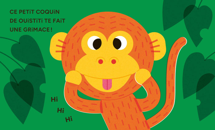 Groarr - Mon petit pop-up dans la jungle