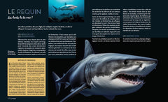 Enigmatiques - La vie secrète des animaux les plus impressionnants