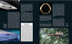 Enigmatiques - La vie secrète des animaux les plus impressionnants