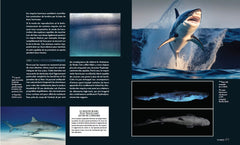 Enigmatiques - La vie secrète des animaux les plus impressionnants