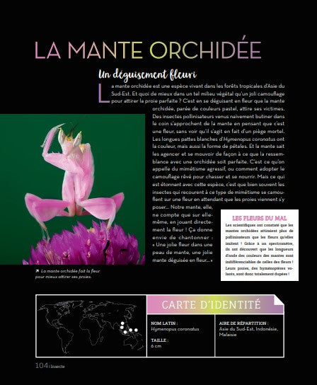 Bizarroïdes ! La vie secrète des animaux les plus étranges