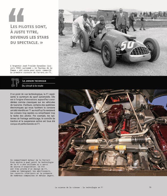 Formule 1, incroyables pilotes, incroyables destins