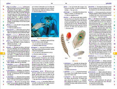 Larousse junior poche