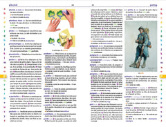Larousse junior poche