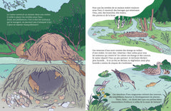 Animaux à protéger