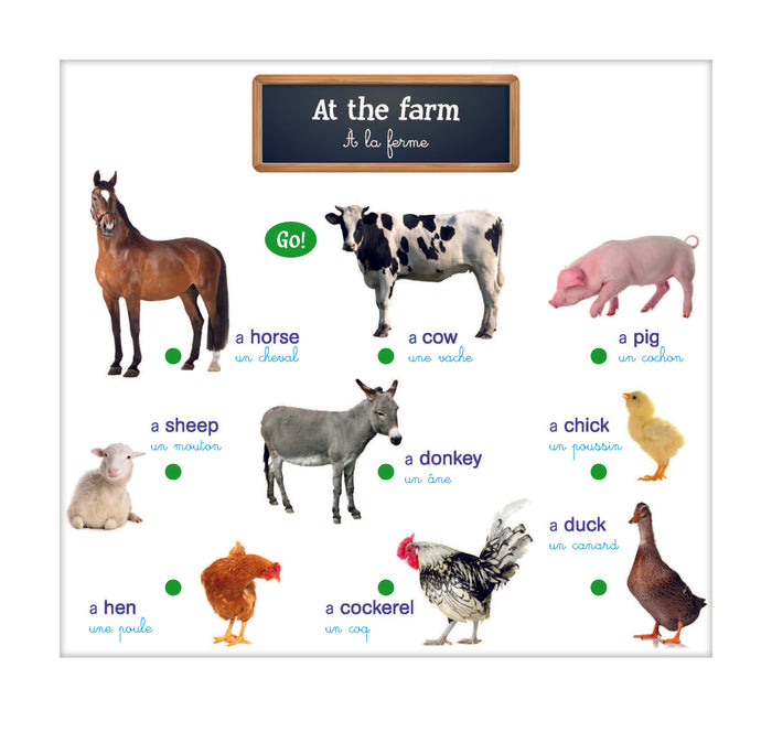 Mon premier imagier sonore d'anglais