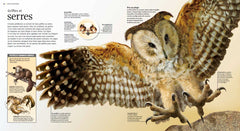 Terribles prédateurs