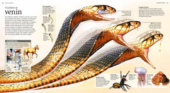 Terribles prédateurs