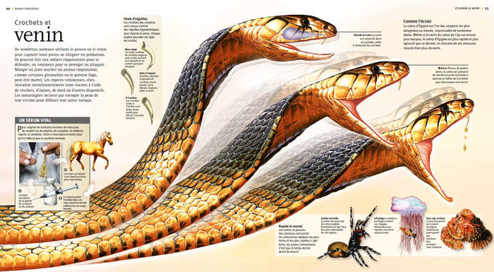 Terribles prédateurs